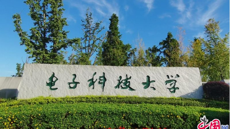 电子配件批发价格之谜：揭秘计算公式与影响因素**