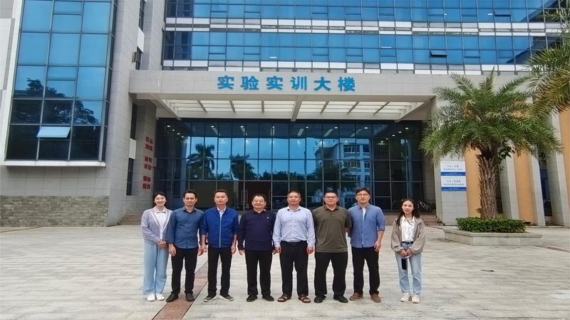 三极管：揭秘其背后的制造与市场格局**